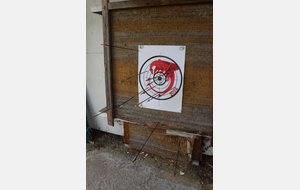 Le dessin du roy 2025 (Sacha). Un trés beau dragon rouge.